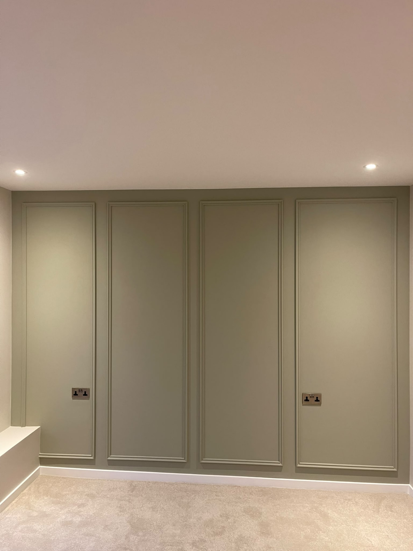 Portrait view of painted wall panelling, skirting and ceiling in Islington