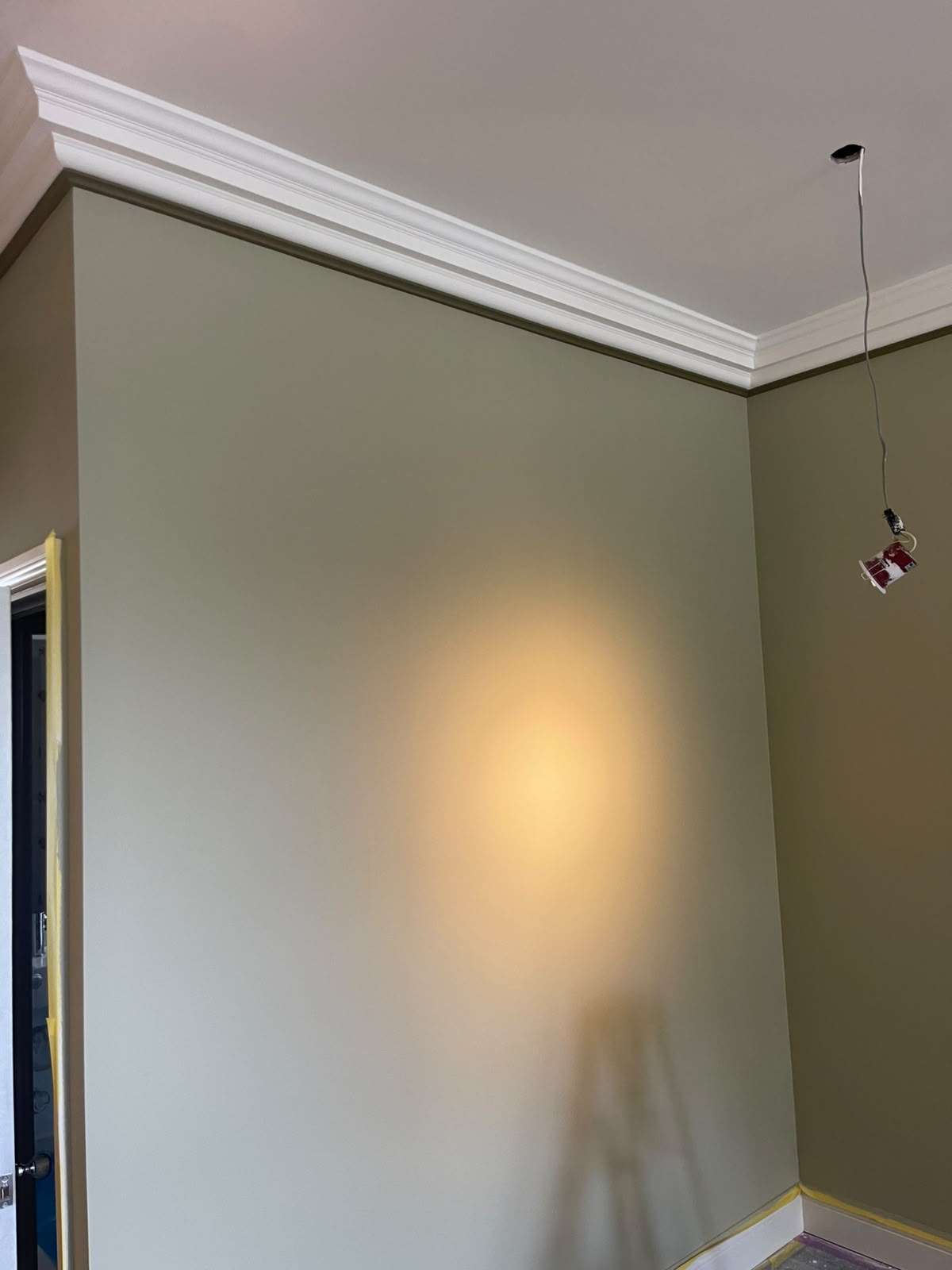 Panelling & Cornice